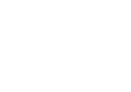 Infinity Flow logo